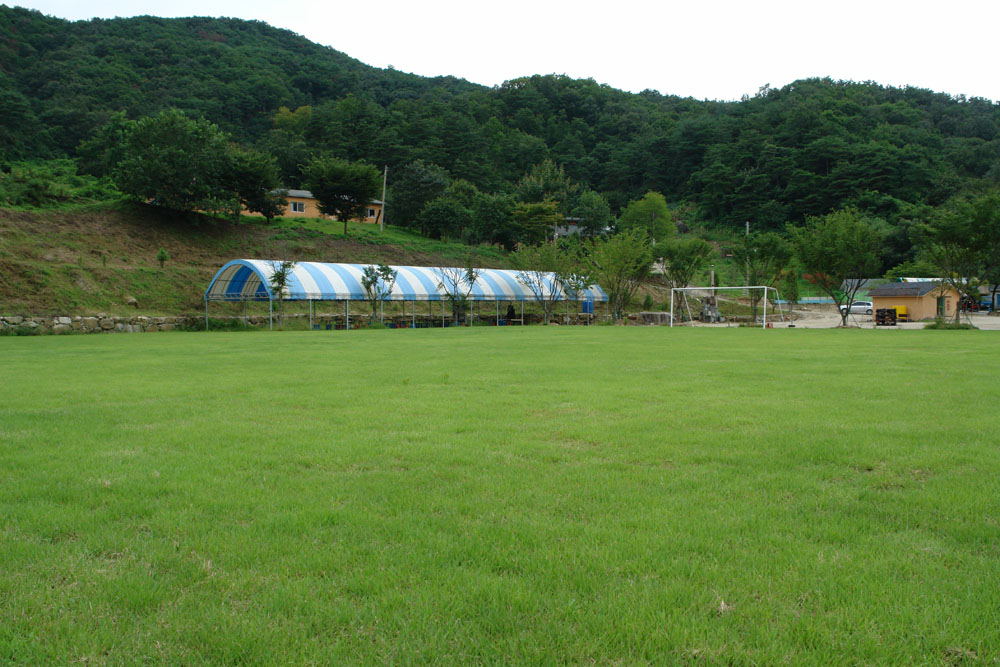 대축구장(잔디)